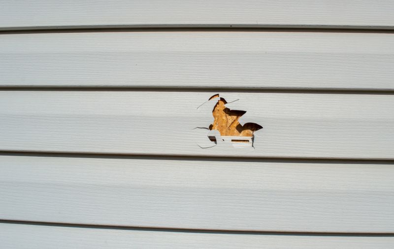 Patch and Repair of Vinyl Siding