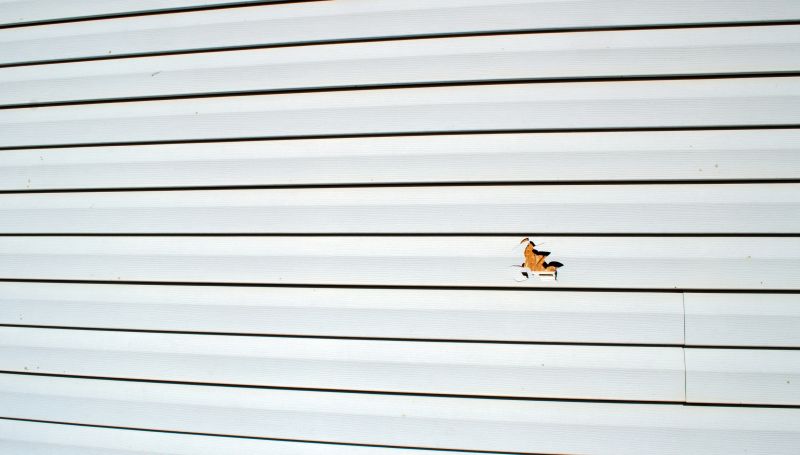 Expert Siding Replacement