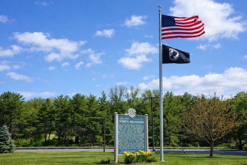 Best Siding Replacement pros in Branford, CT